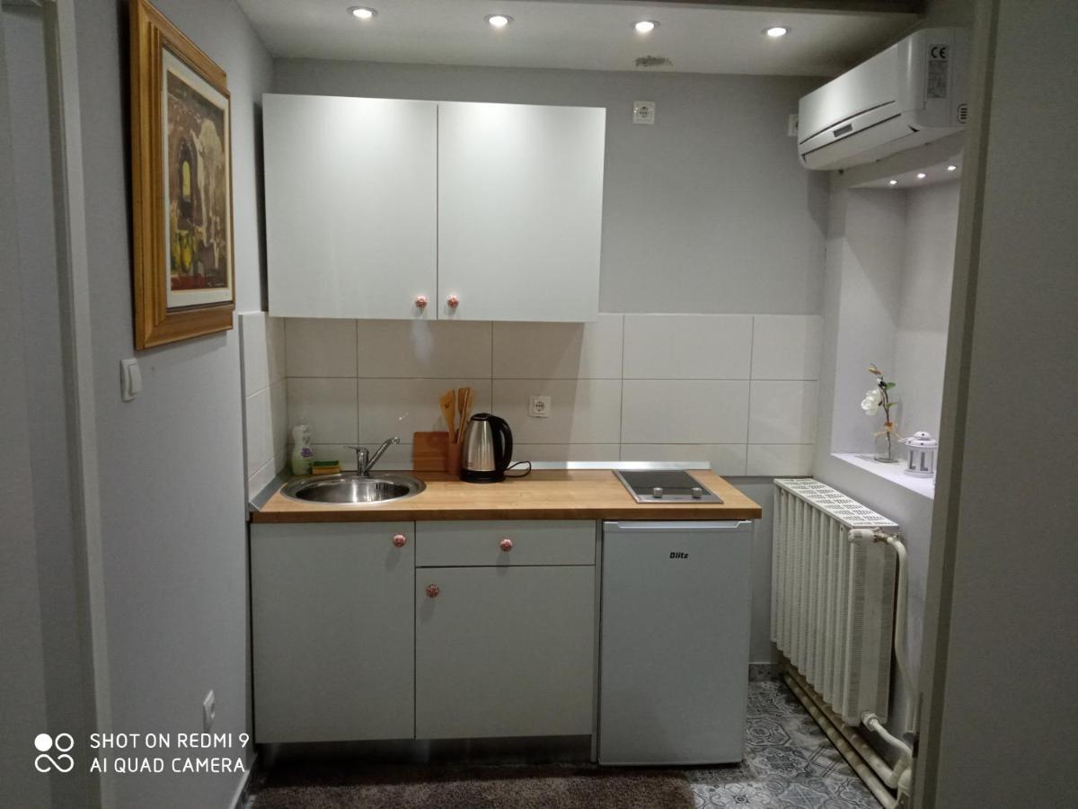 Villa Lucia - Apartments&Rooms Slavonski Brod Exterior foto