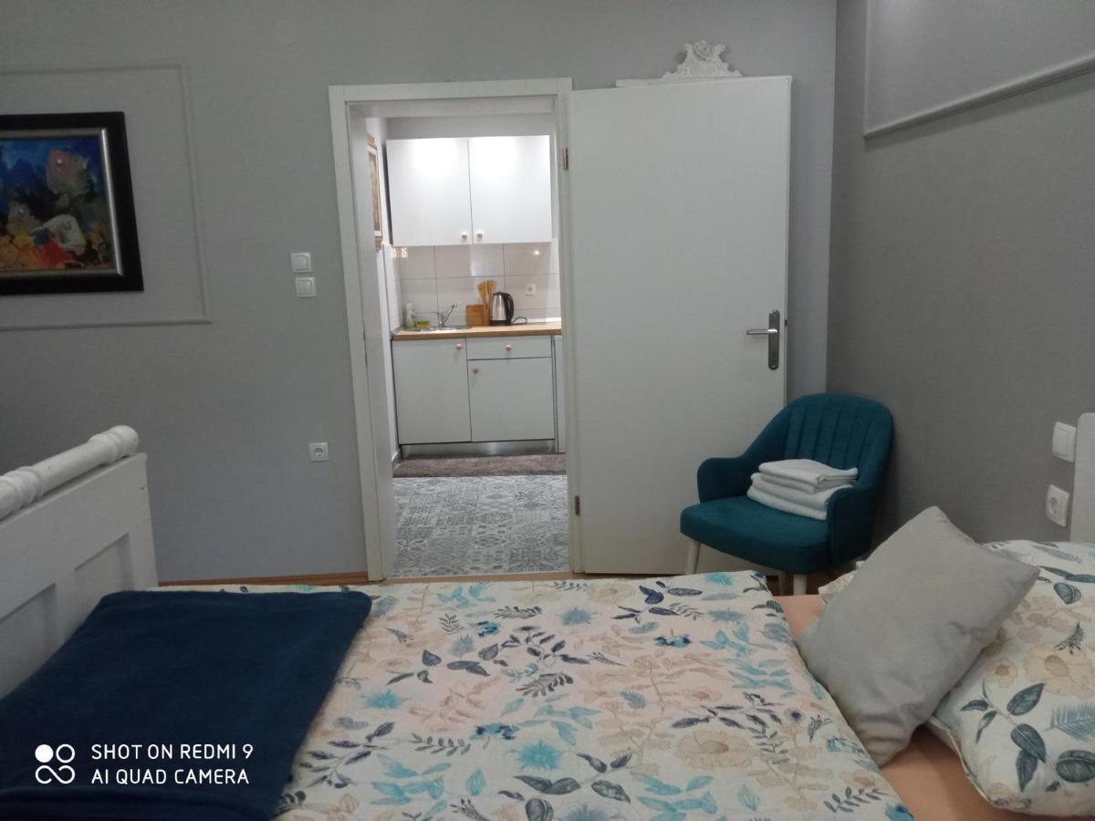 Villa Lucia - Apartments&Rooms Slavonski Brod Exterior foto