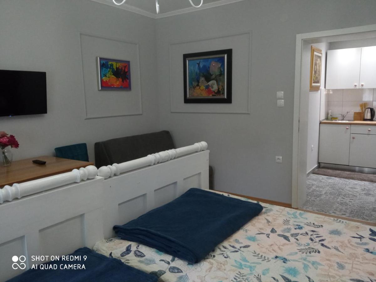 Villa Lucia - Apartments&Rooms Slavonski Brod Exterior foto