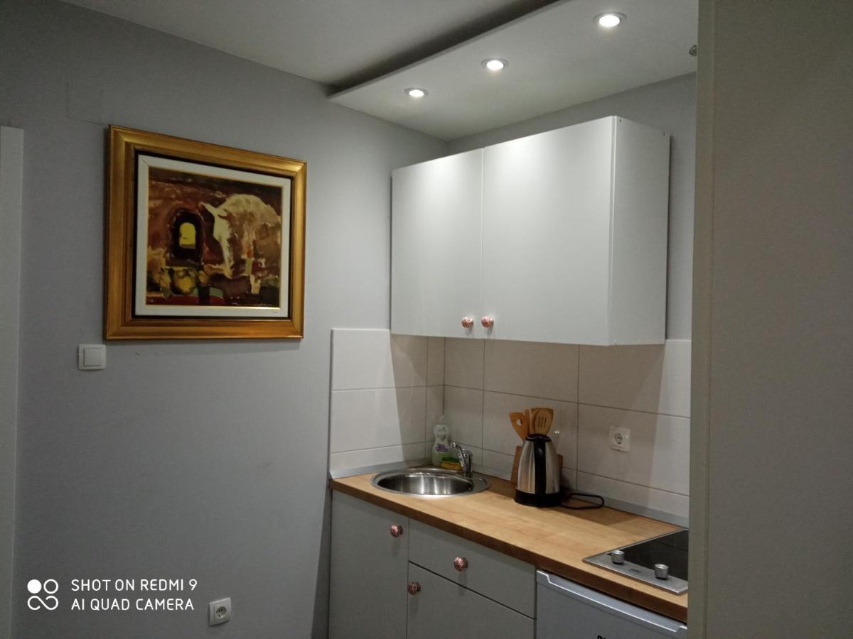 Villa Lucia - Apartments&Rooms Slavonski Brod Exterior foto