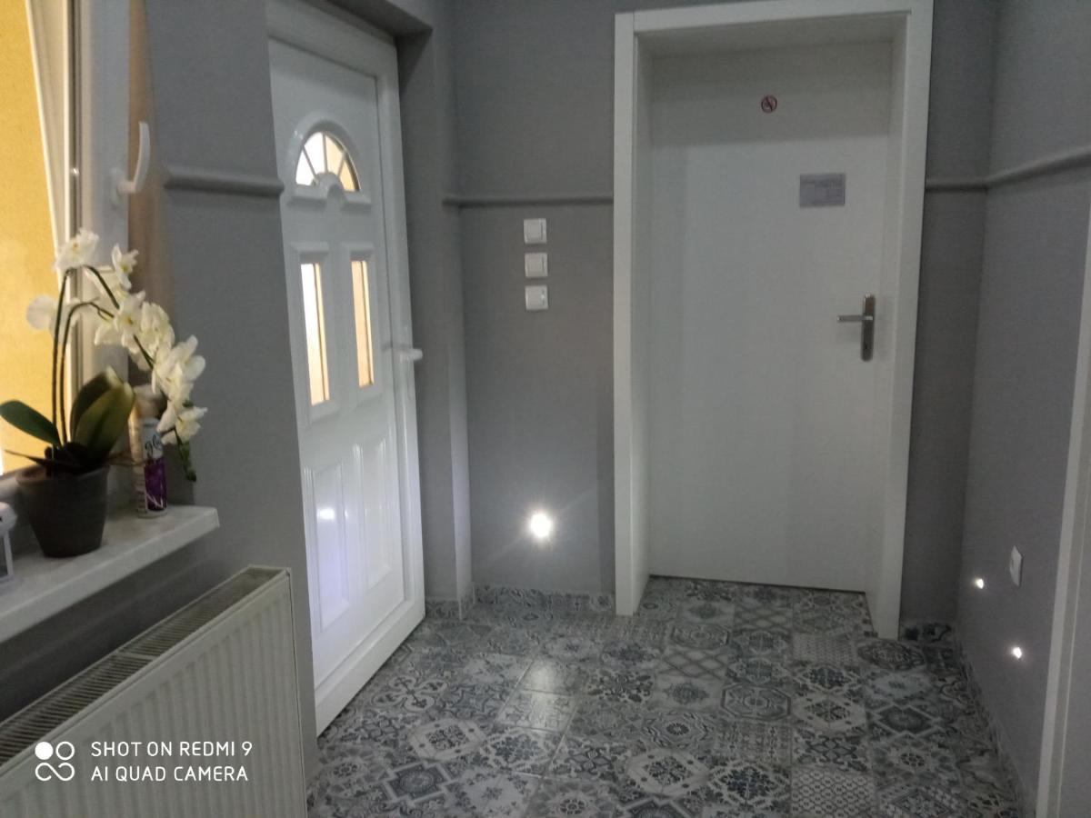 Villa Lucia - Apartments&Rooms Slavonski Brod Exterior foto