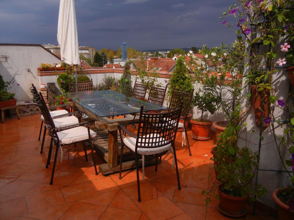 Villa Lucia - Apartments&Rooms Slavonski Brod Exterior foto