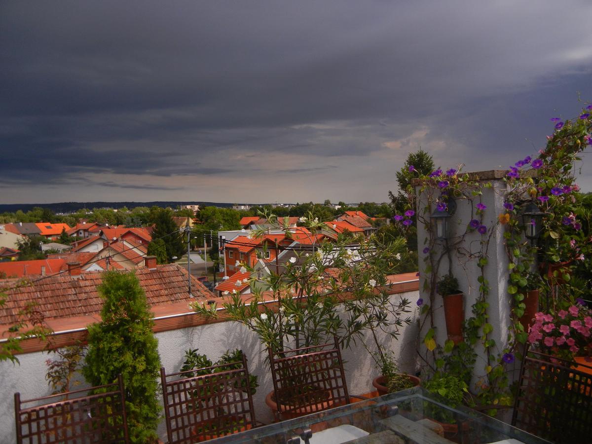 Villa Lucia - Apartments&Rooms Slavonski Brod Exterior foto